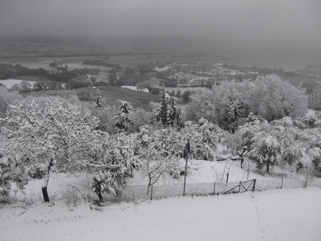 A Casa Di Mi Appartamenti Vacanza Montefalco Buitenkant foto