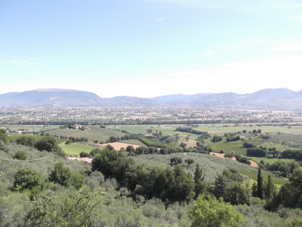 A Casa Di Mi Appartamenti Vacanza Montefalco Kamer foto