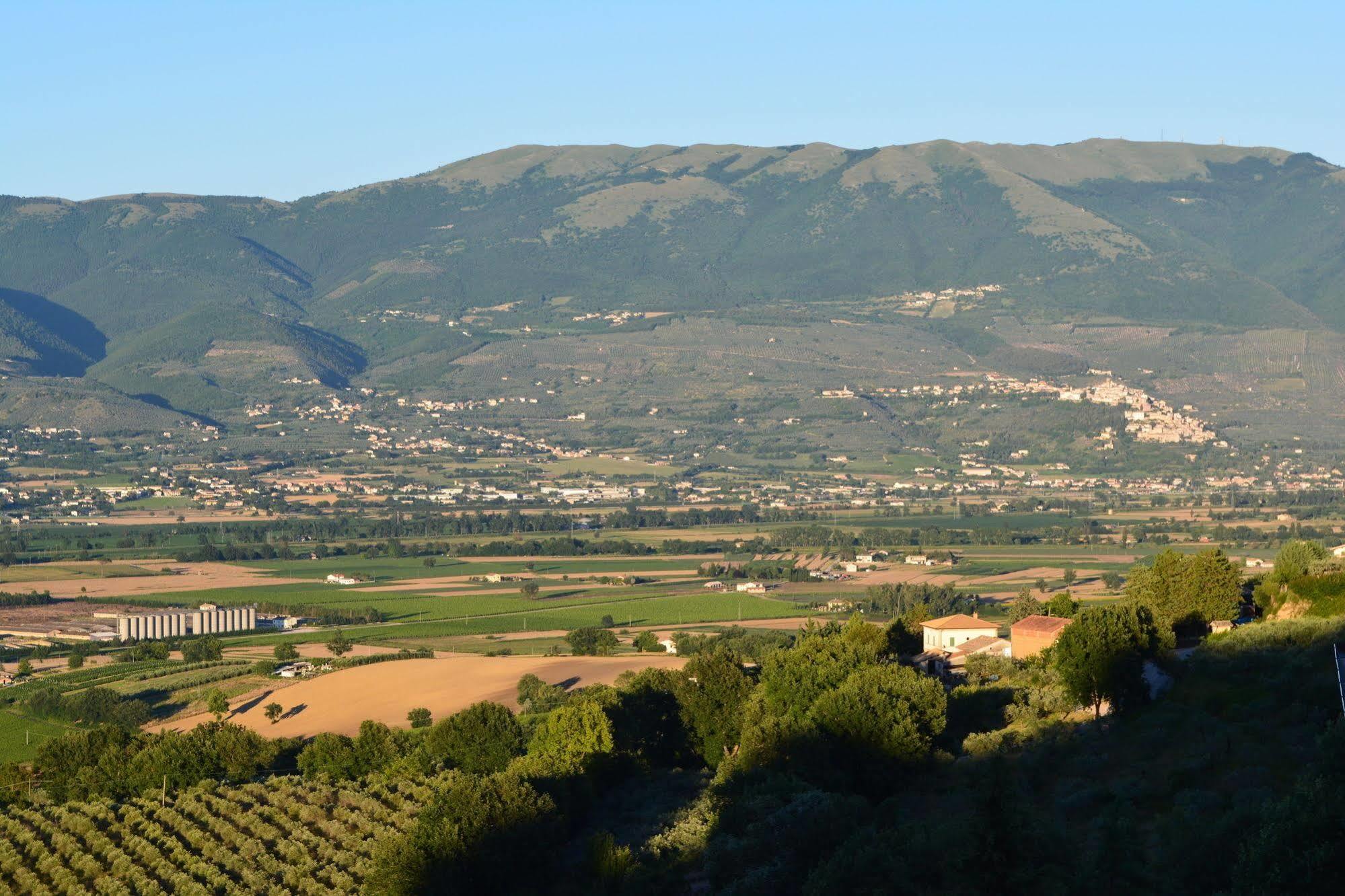 A Casa Di Mi Appartamenti Vacanza Montefalco Buitenkant foto